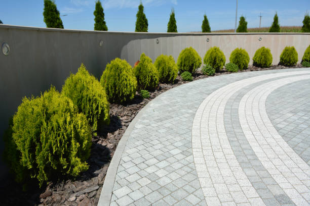 Best Local Driveway Pavers  in Red Hill, SC